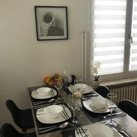 Appartement Des 3 Pays. 2 Mn De Bale+ Free Parking Saint-Louis  Extérieur photo
