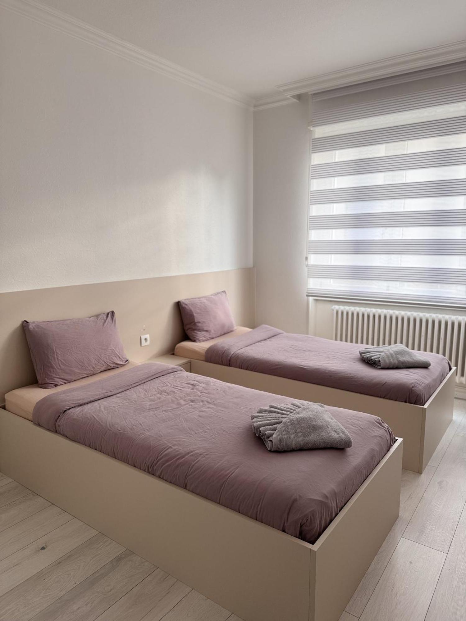 Apartment Des 3 Pays. 2 Mn De Bale+ Free Parking *