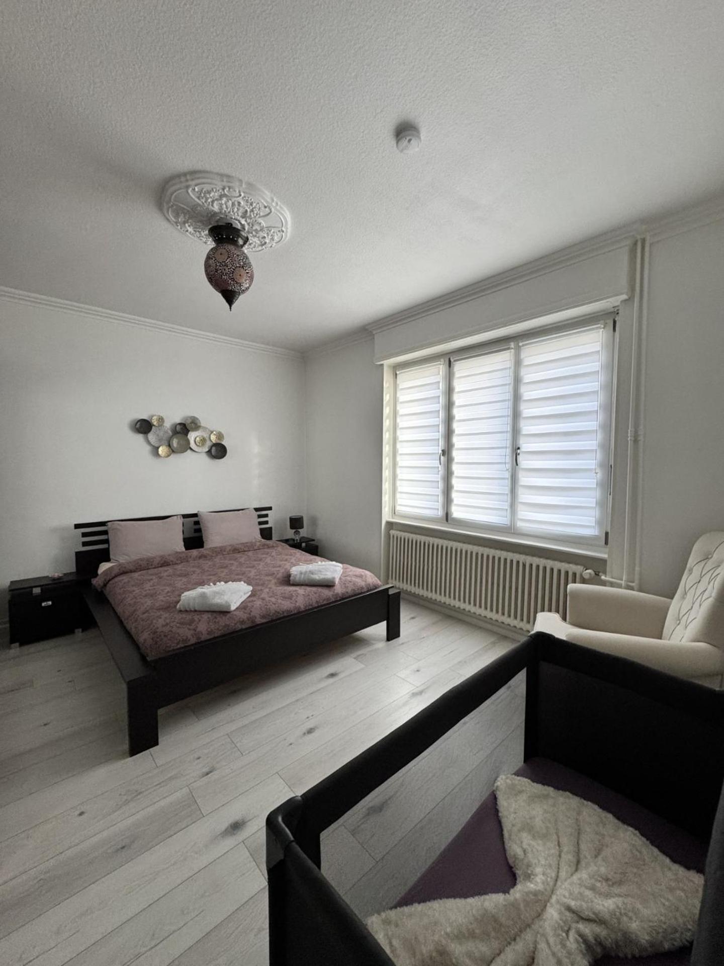 Apartment Des 3 Pays. 2 Mn De Bale+ Free Parking